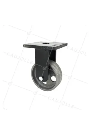 Achetez Aujourd'hui ROULETTE VINTAGE EN FONTE FIXE DIAMÈTRE 100MM CHARGE 250KG - INDUSTYL100F