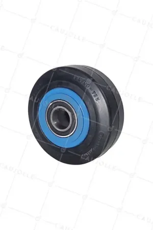 Achat Immédiat ROUE EN FONTE BANDAGE SOUPLE DIAMÈTRE 125 MM AXE 20MM - S2750F125/50