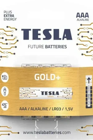 Petit Prix Blister de 4 piles Tesla AAA GOLD+ LR03
