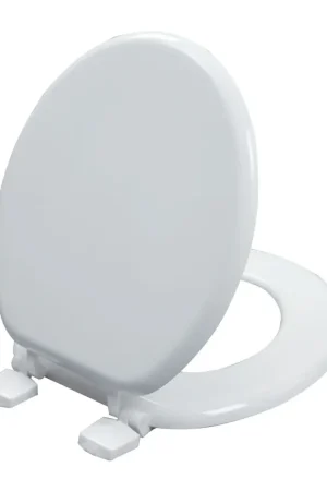 Abattant WC WOODY PARAMOUNT Wirquin 21230001 Nouveauté