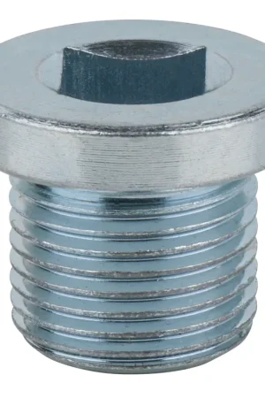 Jusqu'à Épuisement Des Stocks KS TOOLS Vis de vidange, carré 4 pans 8mm, M18x1,5x16mm, pack de 25 ( 430.2159 )