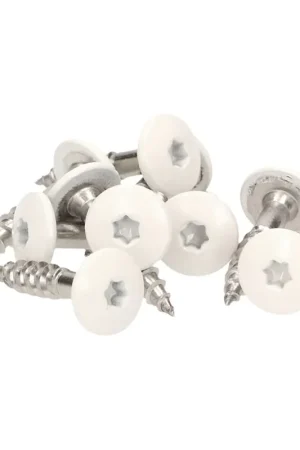 Achat Immédiat Meisterling Vis de façade 4.8x25 mm - 100 pièces (010020000001) 12 mm tête plate blanche + Filetage partiel Torx V2A acier inoxydable