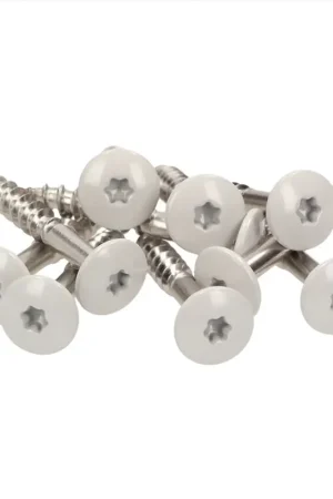 Livraison Express Meisterling Vis de façade 4,8x32 mm - 100 pièces (010020000121) tête plate 12 mm gris clair + Filetage partiel Torx acier inoxydable V2A