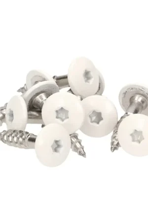 Meisterling Vis de façade 4.8x38 mm - 100 pièces (010020000201) 12 mm tête plate blanche + Filetage partiel Torx V2A acier inoxydable Expédition Rapide