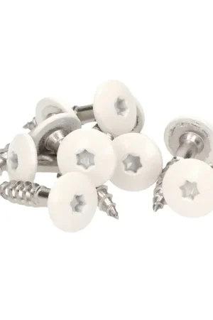 Meisterling Vis de façade 5,5x25 mm - 100 pièces (010030000001) 12 mm tête plate blanche + Filetage partiel Torx V4A acier inoxydable Promotion Saisonnière