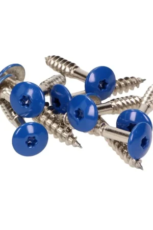 Meisterling Vis de façade 5,5x35 mm, 100 pcs., tête plate 12 mm, filetage partiel, empreinte Torx, acier inoxydable V4A, bleu gentiane (010030000161) Meilleur Choix