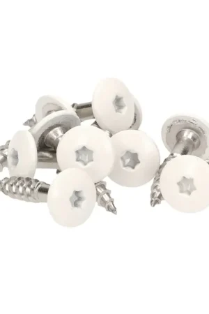 Meisterling Vis de façade 5,5x45 mm, 100 pcs., tête plate 12 mm, filetage partiel, empreinte Torx, acier inoxydable V4A, blanc (010030000311) Offre Exclusive