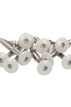 Meisterling Vis de façade 5,5x45 mm, 100 pcs., tête plate 12 mm, filetage partiel, empreinte Torx, acier inoxydable V4A, gris clair (010030000341) Usine Directe