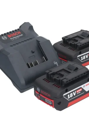 Bosch GAL 18V-20 Chargeur de batterie 10,8 - 18 V 2 A ( 2607226281 ) + 2x GBA 18 V 5,0 Ah batterie ( 2x 2607337069 ) Vente Flash