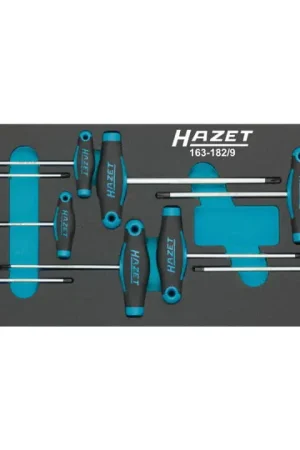 HAZET Module à outils 163-182/9 9 pièces ( 8000465896 ) Expédié Aujourd'hui