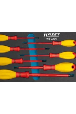 Acheter En Ligne HAZET Module à outils 163-229/7 7 pièces ( 8000465899 )