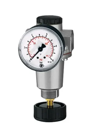 Vente Flash RIEGLER Régulateur de pression standard filetage mm 30,93 ( 4588880454 )