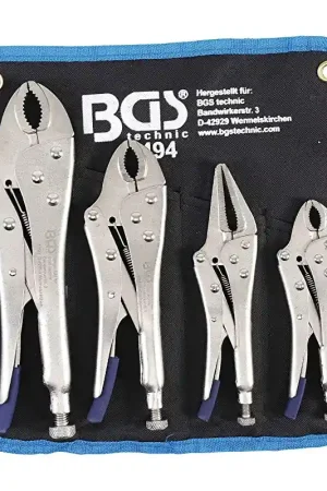LOT DE 4 PINCES ETAUX AUTOBLOQUANTES BGS TECHNIC Offre Du Jour
