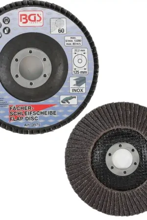 Achat Immédiat DISQUE Ø 125 mm 22 mm A LAMELLE BGS GRAIN DE 60