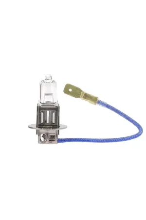 Acheter En Ligne Ampoule 12V H3 55W PK22s