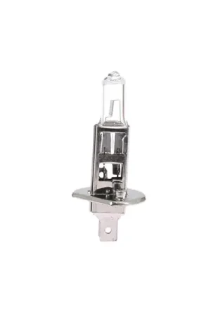 Affaire À Saisir Ampoule 12V H1 55W