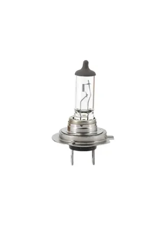 Meilleur Prix Ampoule 12V PX26D H7 55W