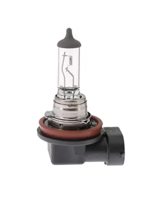 Ampoule 12V PGJ19-2 H11 55W Meilleur Choix